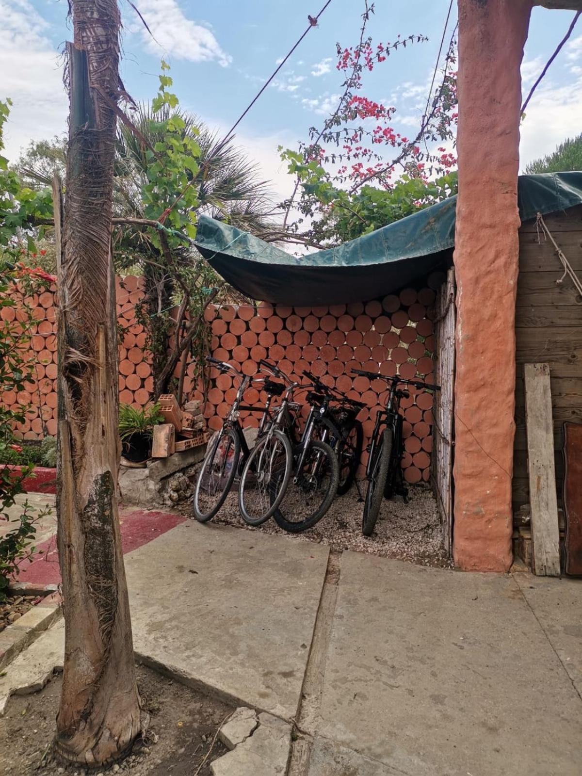 Hajrienne Guest House Tanger Zimmer foto